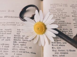 1. Sesli Kitap Nedir ve Nerelerde Dinlenebilir?