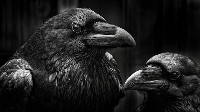 38. Podcast’ler ve Seyahat: Yolculuklarda Eğlenceli ve Öğretici İçerikler